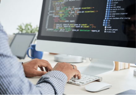 Software Consulting Services provider