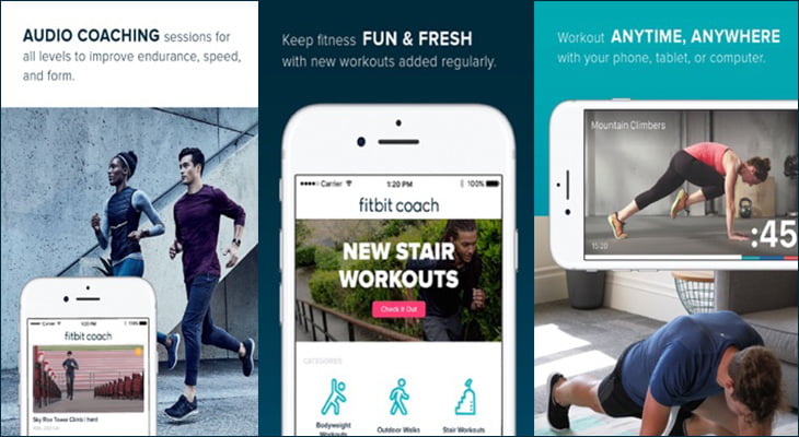 Fitbit Coach App