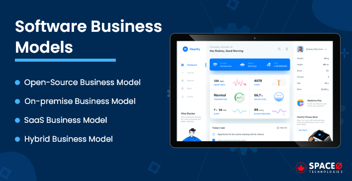 software business model