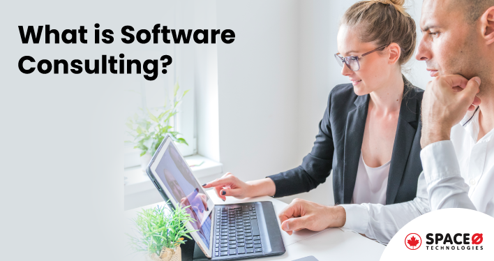 What is Software Consulting