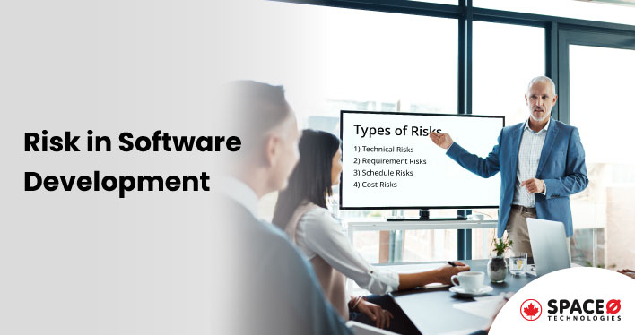 Risk in Software Development