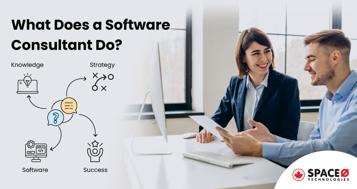 What Does a Software Consultant Do