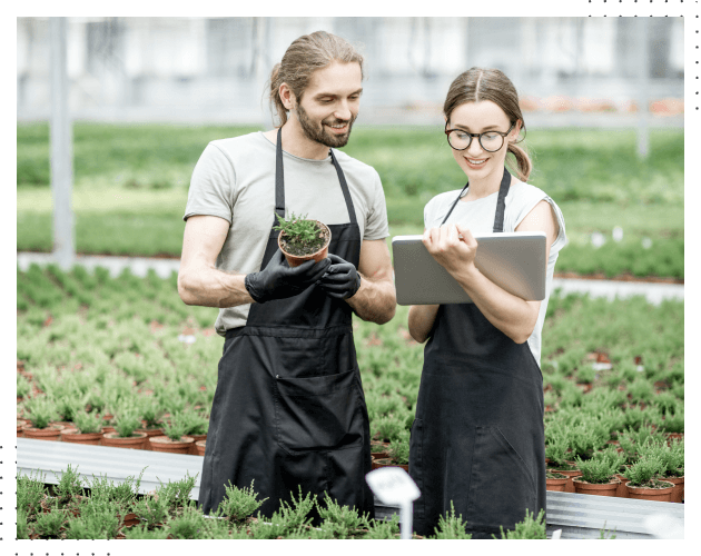 service-img-01